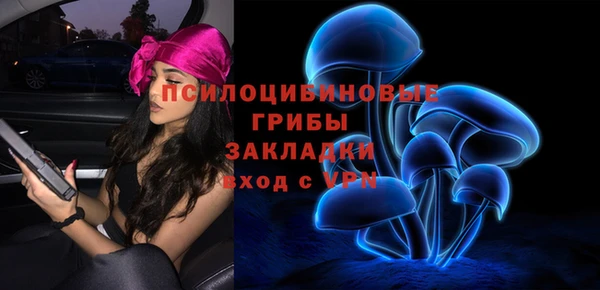 стафф Алексеевка