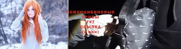 ГАЛЛЮЦИНОГЕННЫЕ ГРИБЫ Дмитриев