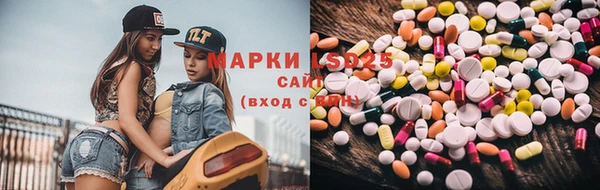кокс Аркадак